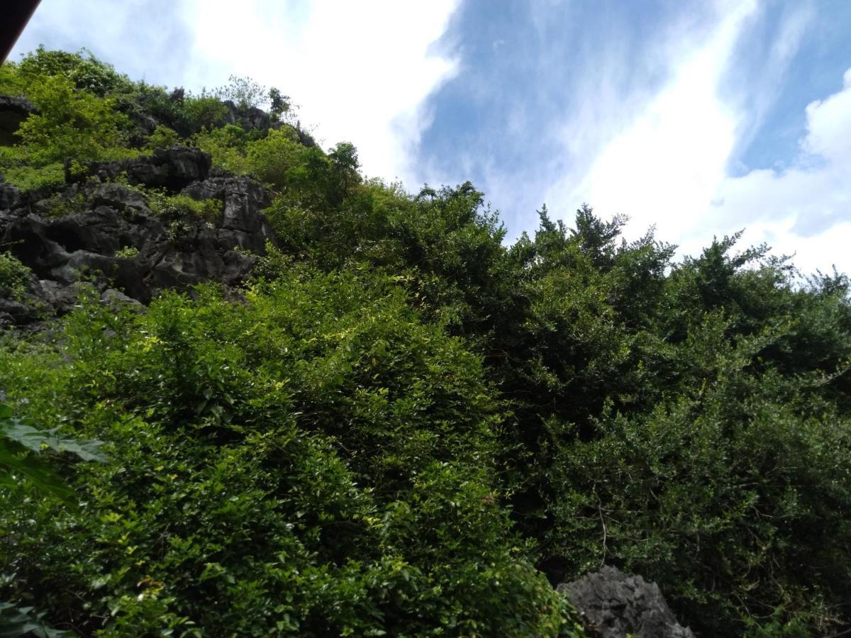 Ali Homestay Ninh Binh Esterno foto