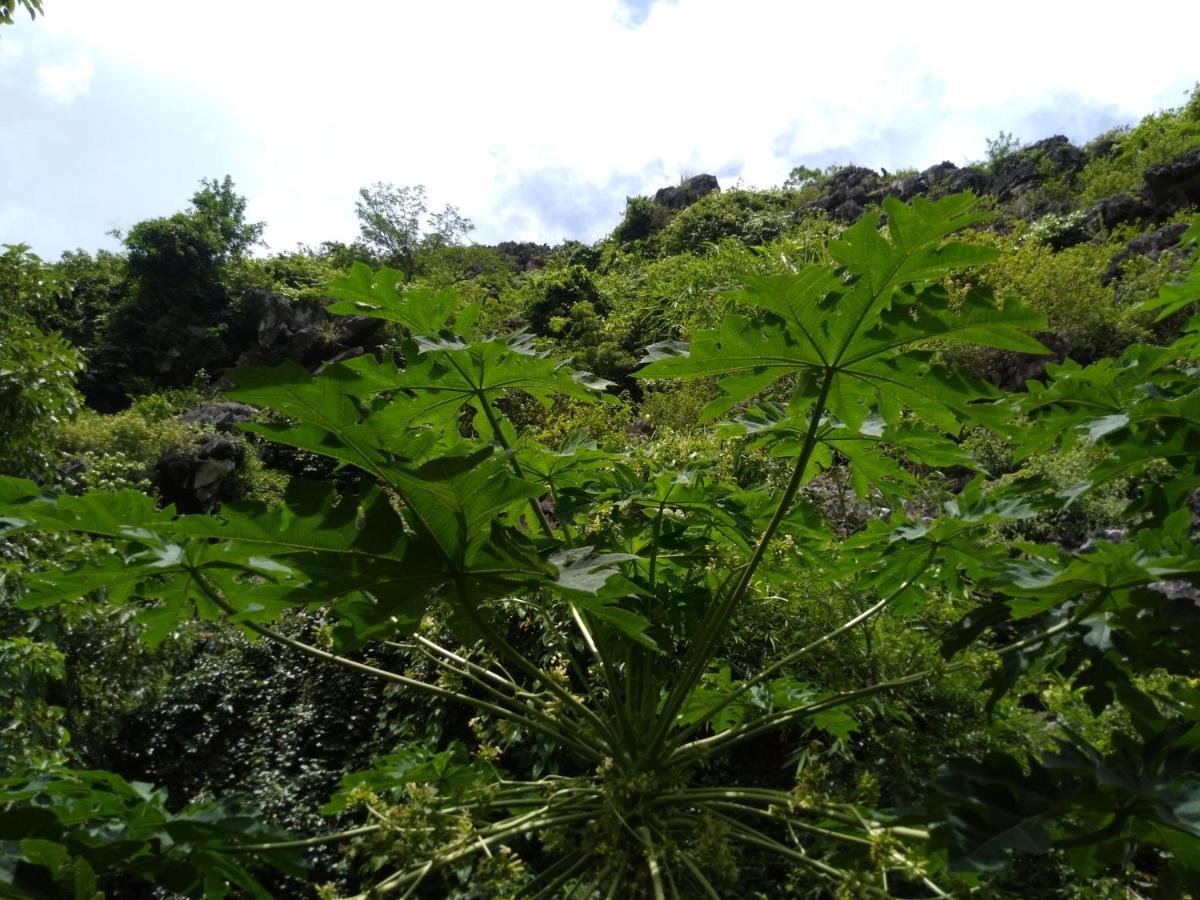 Ali Homestay Ninh Binh Esterno foto